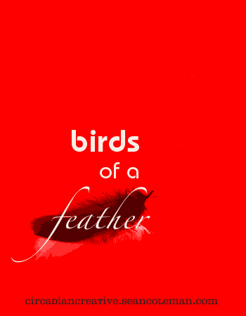 book cover design project 15 - birds of a feather